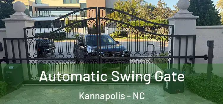  Automatic Swing Gate Kannapolis - NC