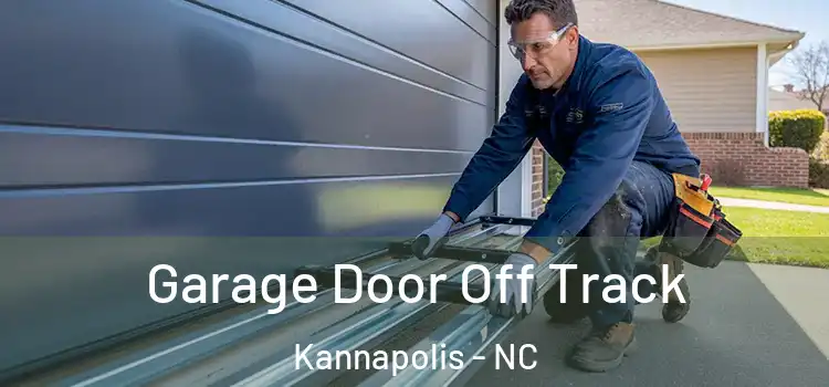  Garage Door Off Track Kannapolis - NC