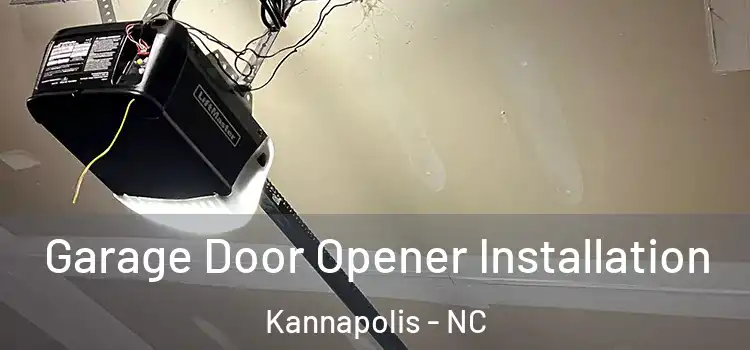  Garage Door Opener Installation Kannapolis - NC
