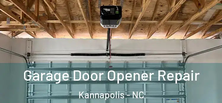  Garage Door Opener Repair Kannapolis - NC
