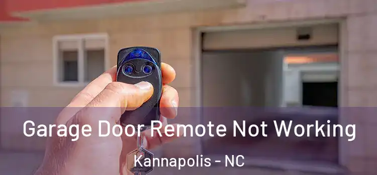  Garage Door Remote Not Working Kannapolis - NC