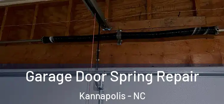  Garage Door Spring Repair Kannapolis - NC