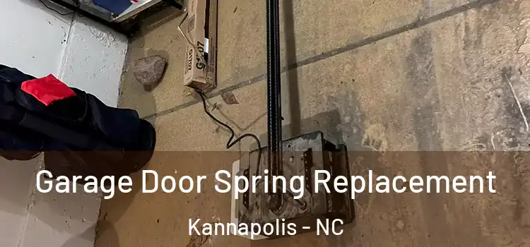  Garage Door Spring Replacement Kannapolis - NC