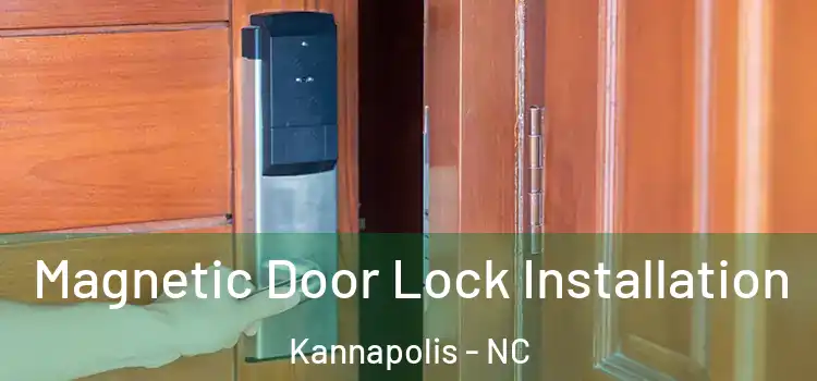  Magnetic Door Lock Installation Kannapolis - NC