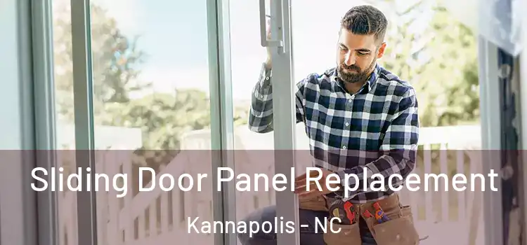 Sliding Door Panel Replacement Kannapolis - NC