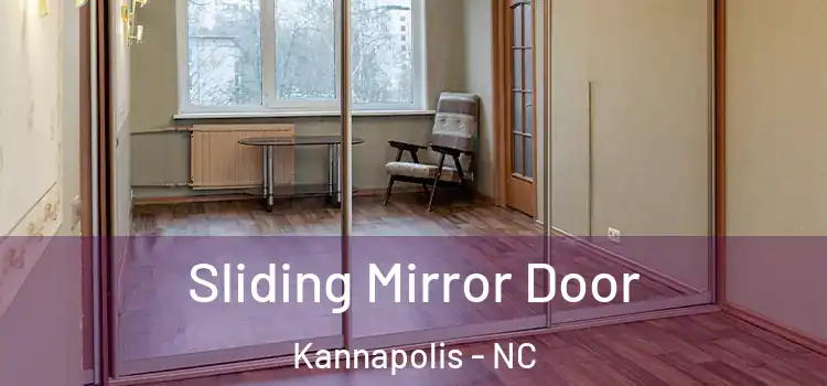  Sliding Mirror Door Kannapolis - NC